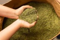 82 Oregano Saco 20 lb - Image 1