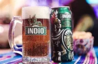 Cerveza Mexicana Indio - Image 1